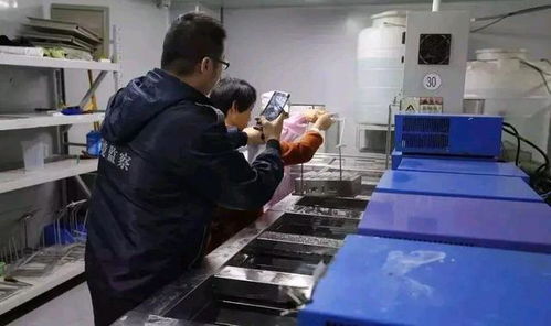 深圳環保消防嚴查風暴下，一家工廠的關閉與反思